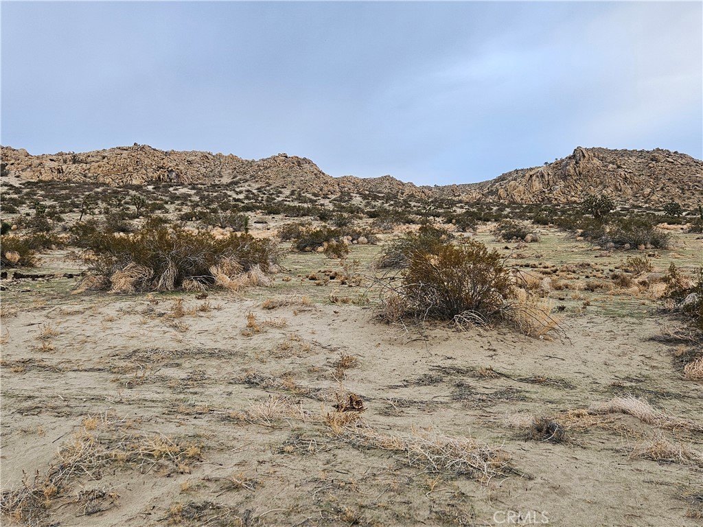 Picture 25