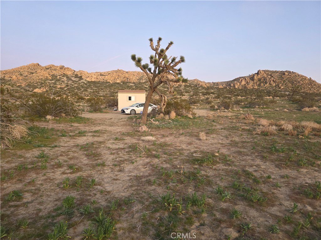 Picture 23