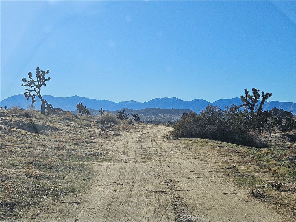 Picture 10