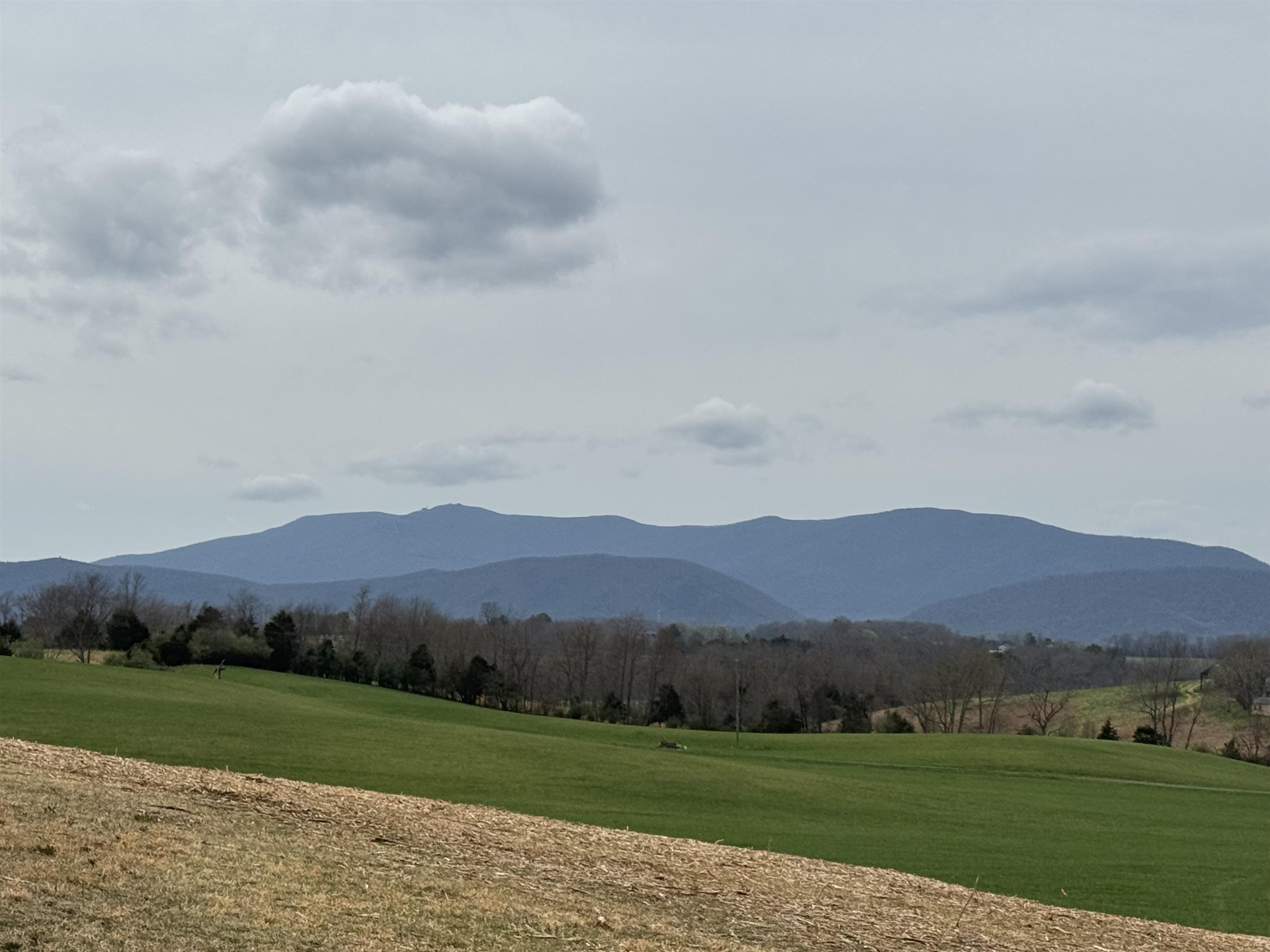 24-Acre Property with Building Sites