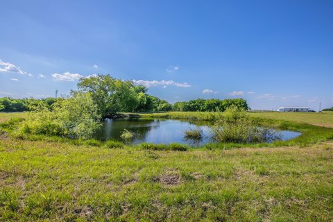LAND - Mount Calm, TX
