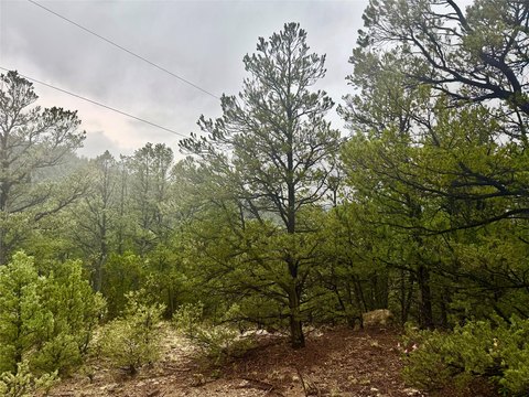 Pecos Canyon Wooded Acreage