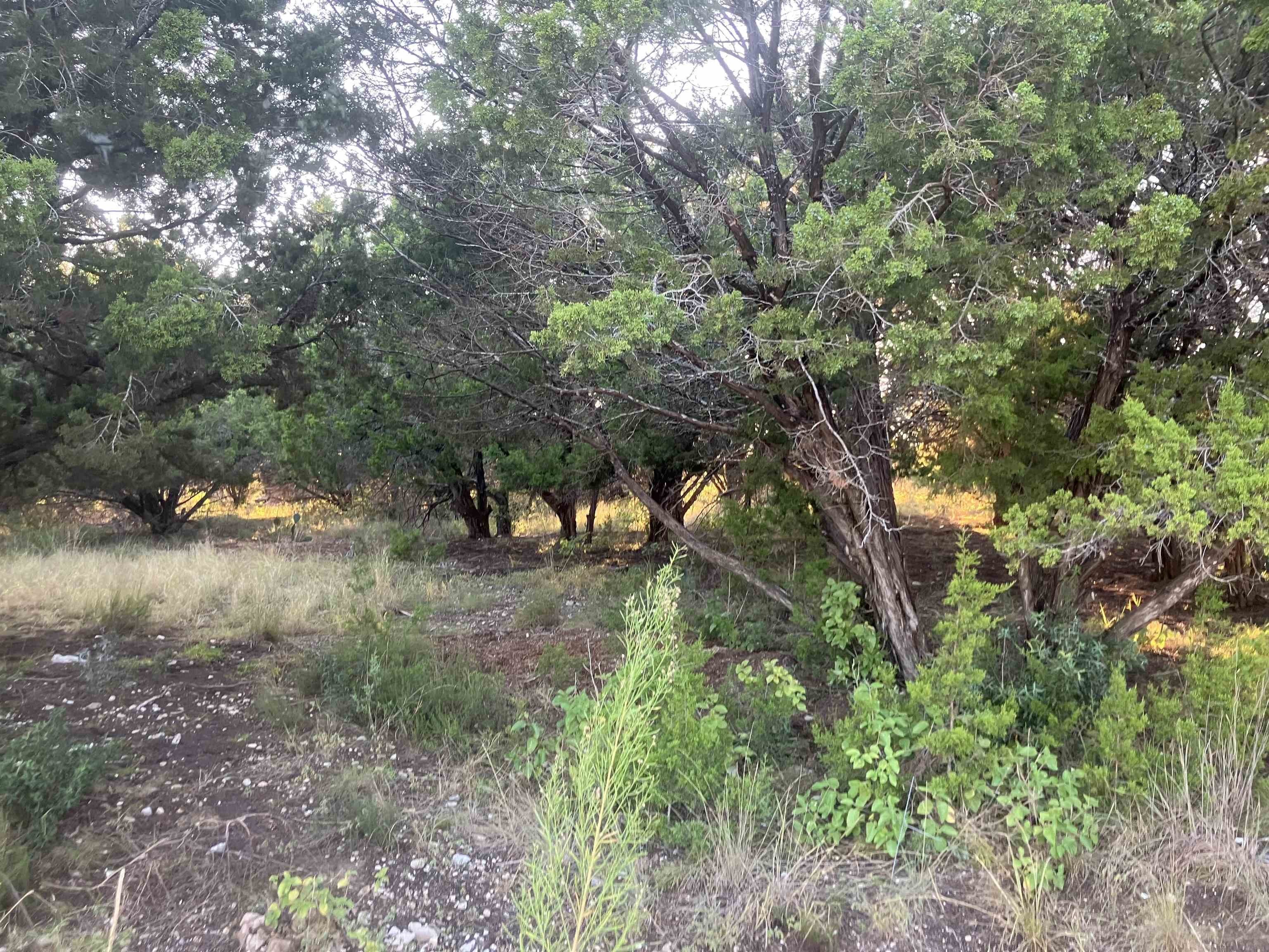 Residential Land in Lago Vista, TX