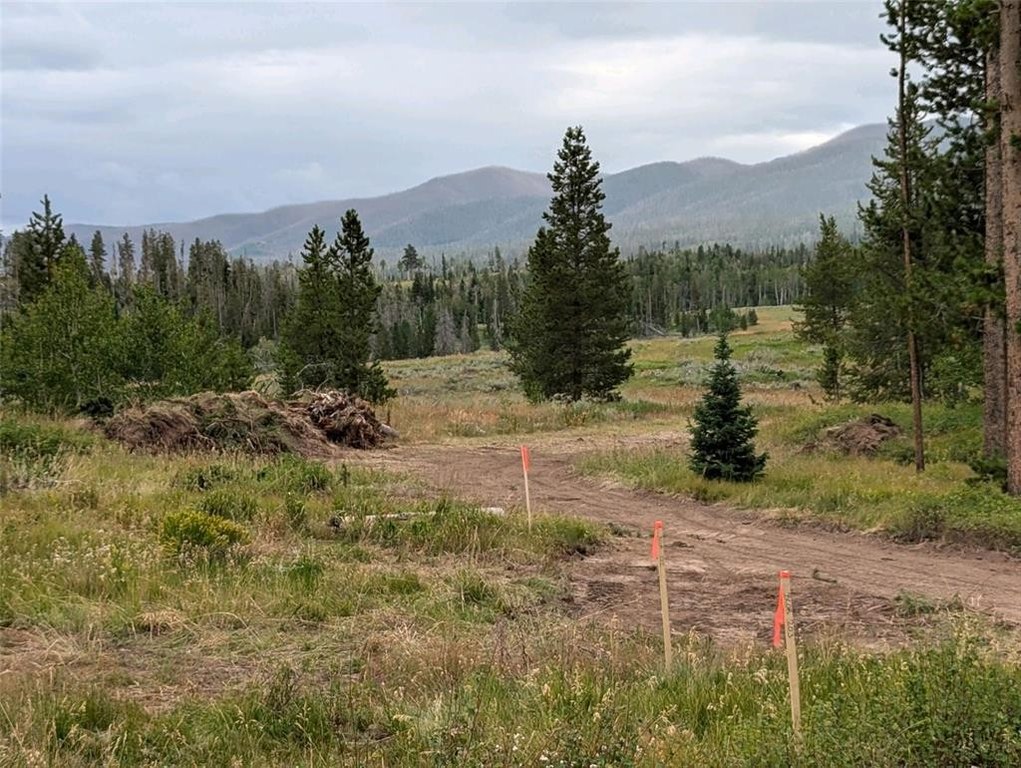 Picture 25