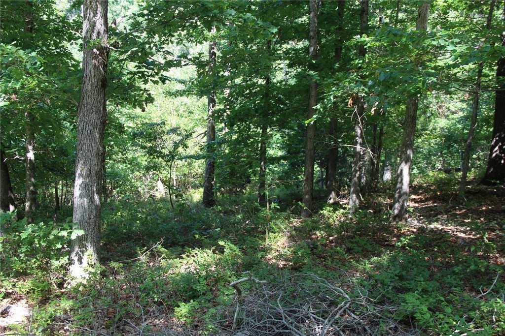 Picture 8
