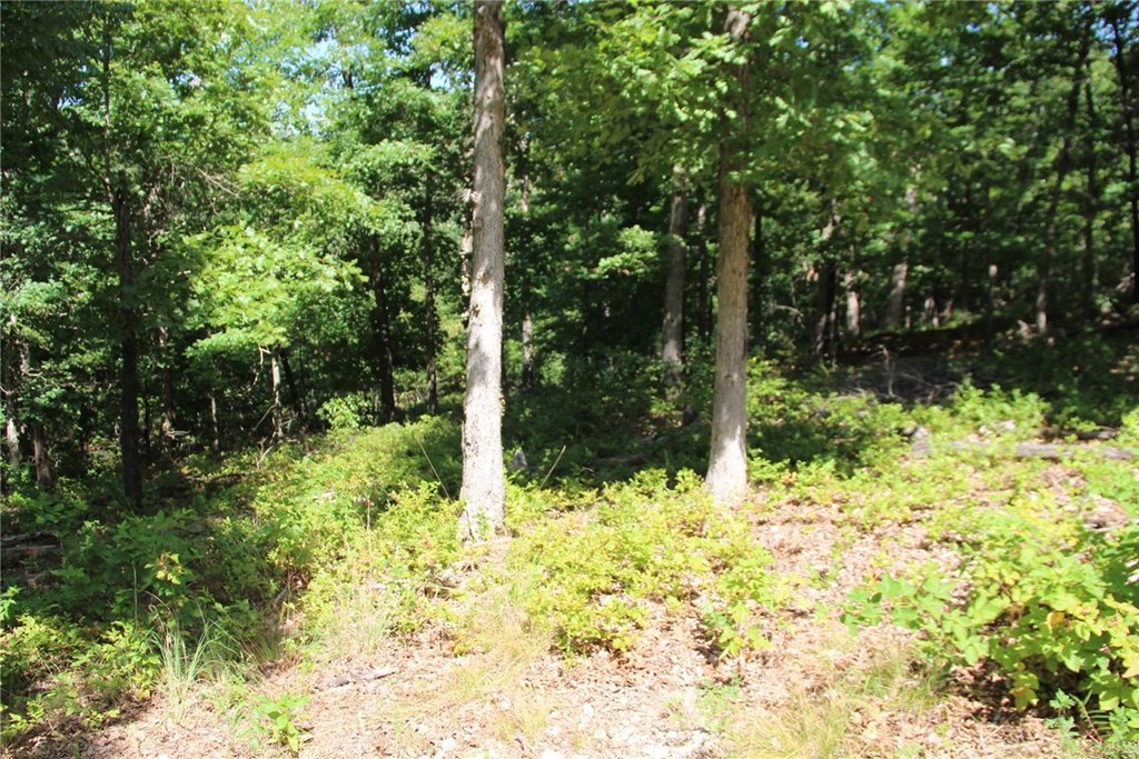 Picture 16