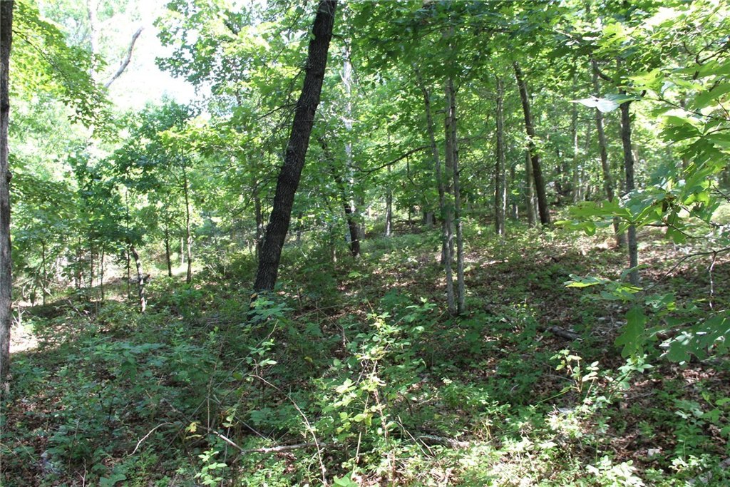 Picture 11