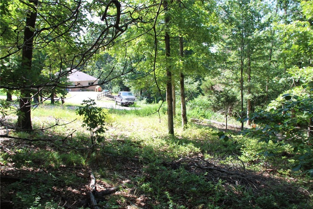Picture 15