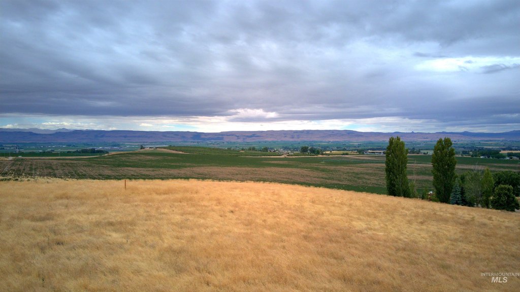 Picture 4