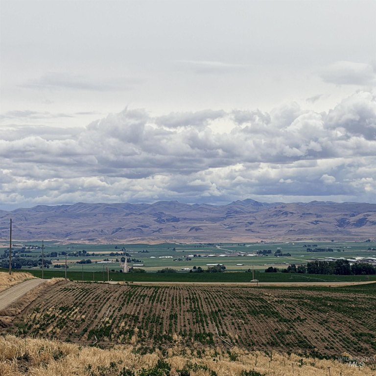 Picture 9