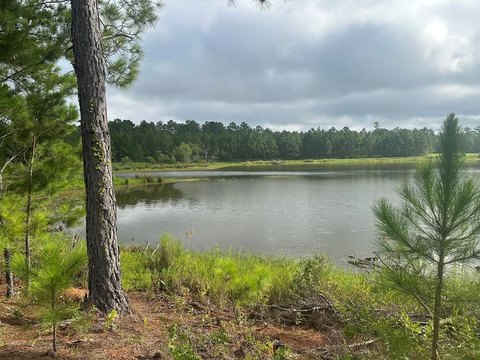 Waterfront Acreage in Ochlocknee, Georgia