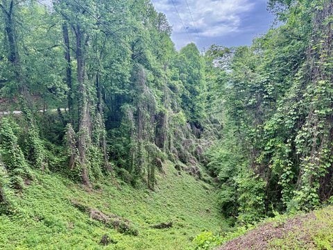Mountain Land in Eagle's Nest