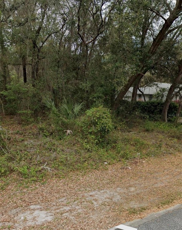 Picture 2