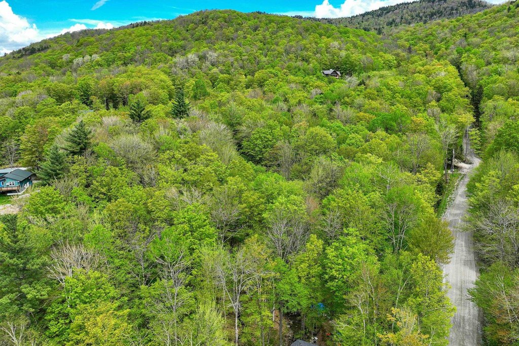 Picture 11