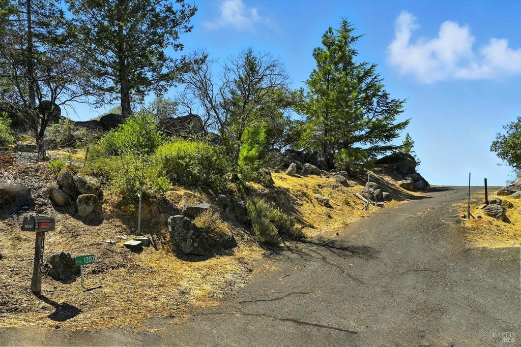 Picture 9