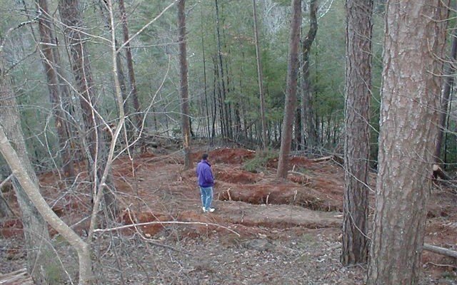Picture 3