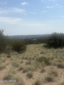 LAND - Concho, AZ