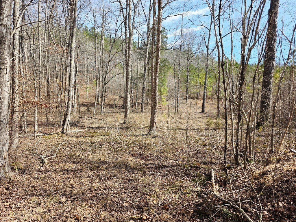 Picture 16