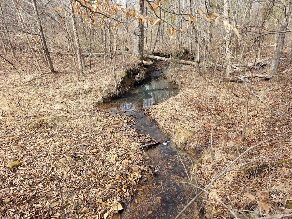 Picture 30