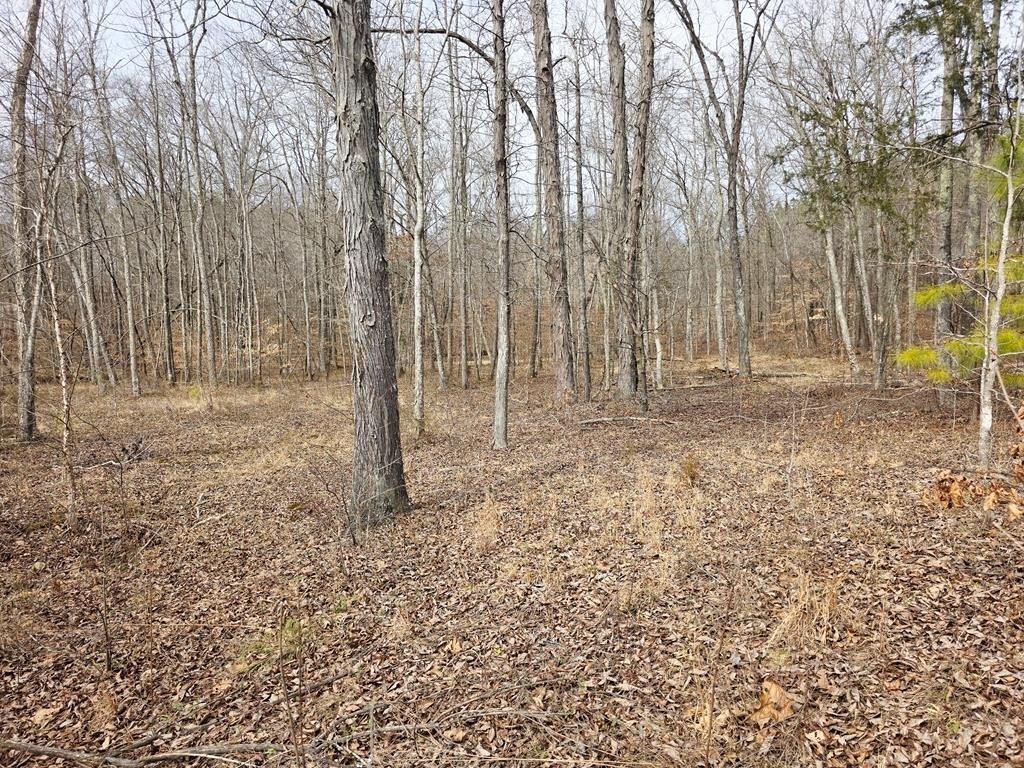Picture 39