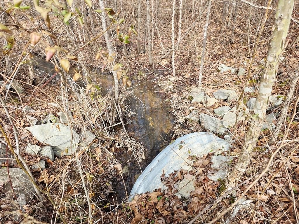 Picture 36