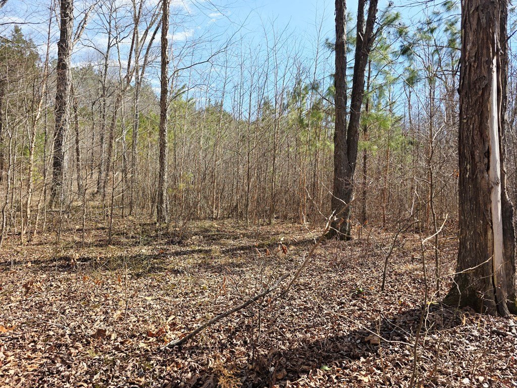 Picture 14