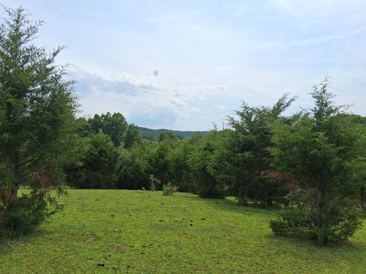 Unrestricted Land in Bybee, TN