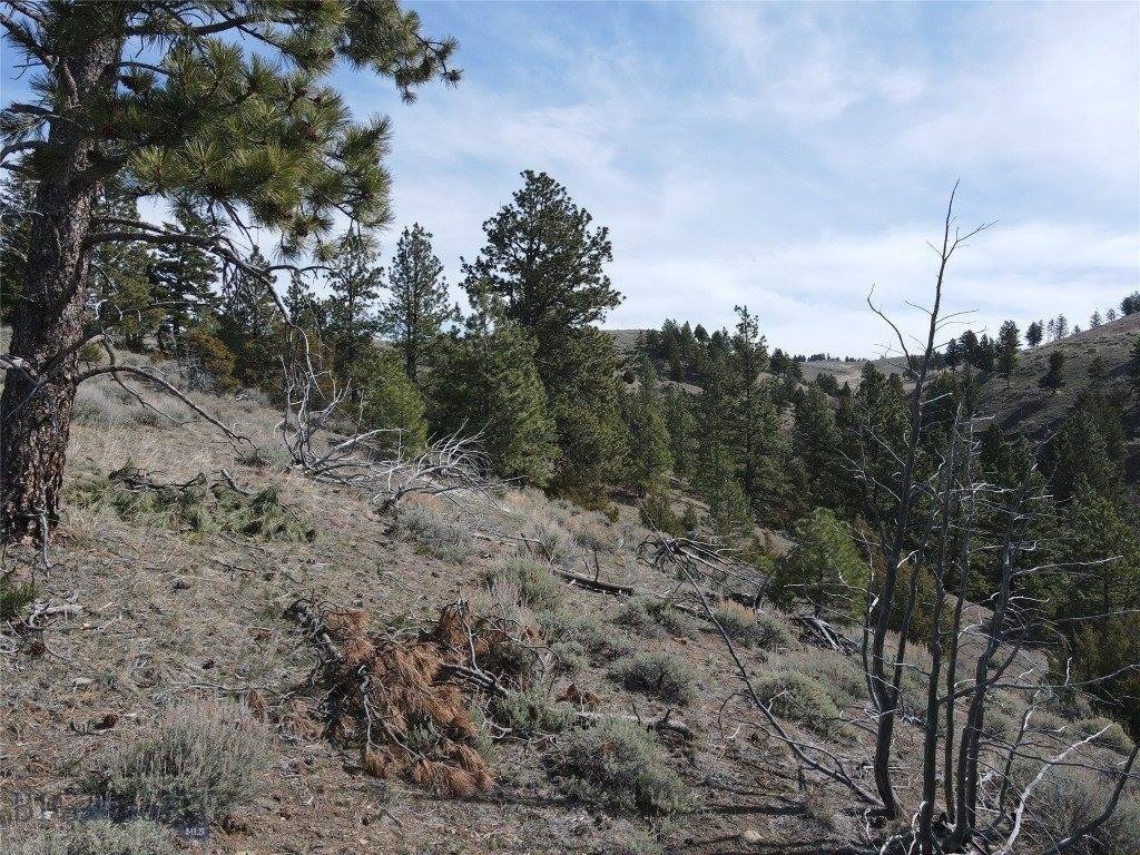 Picture 11