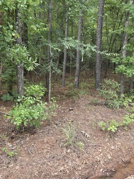 Land Near Lake, Tignall, GA