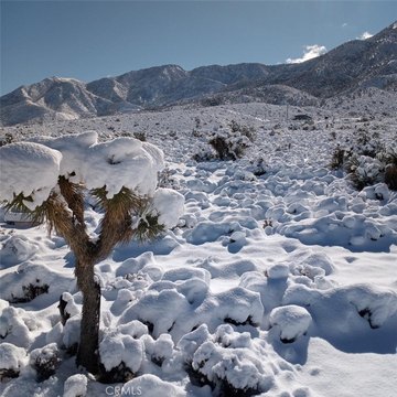 LAND - Lucerne Valley, CA