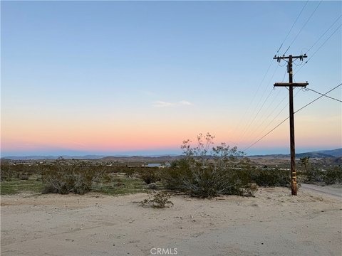 Joshua Tree Land Opportunity