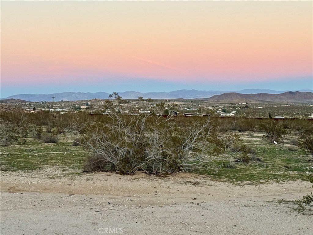 Picture 6