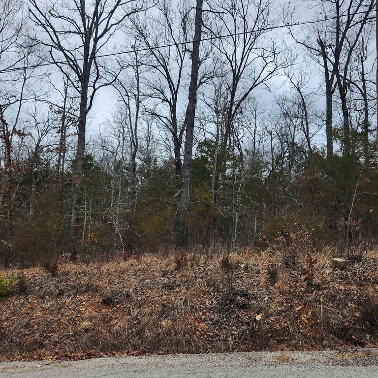 Picture 15