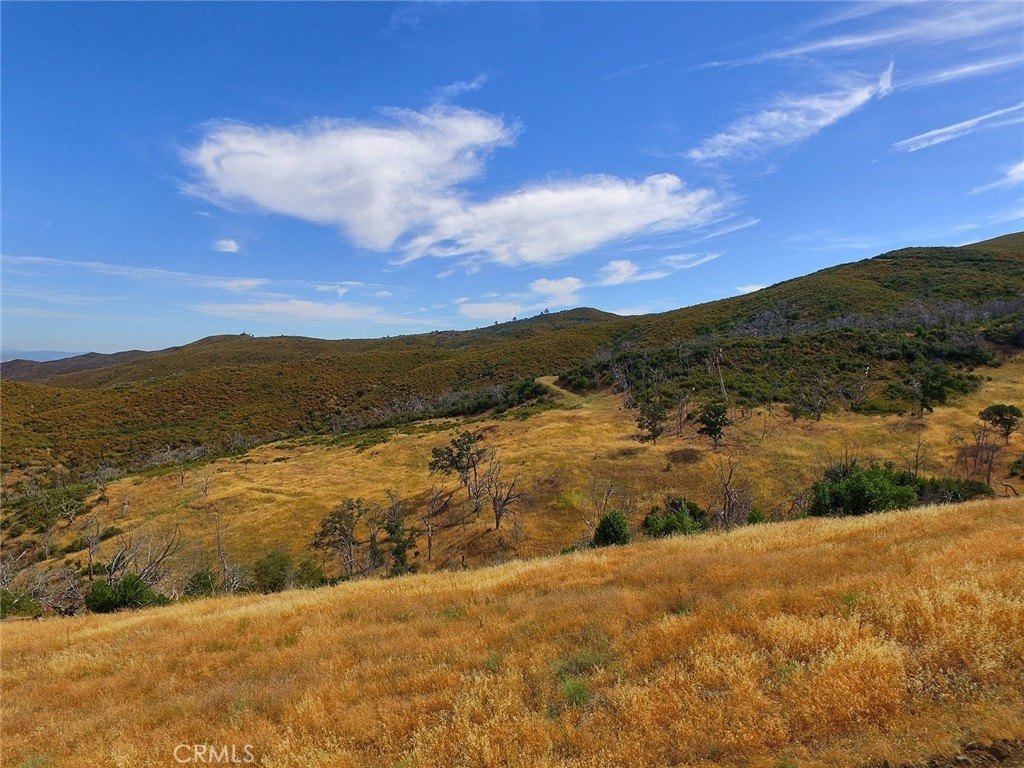 120 Acres in Lower Lake
