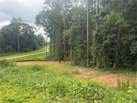LAND - Bethlehem, GA
