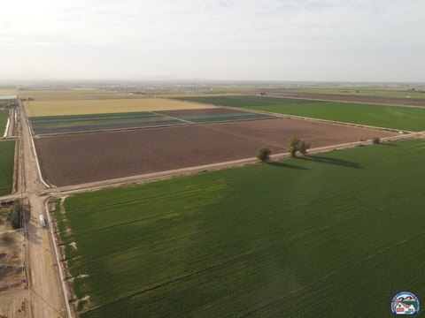 Certified Organic Farmland in El Centro