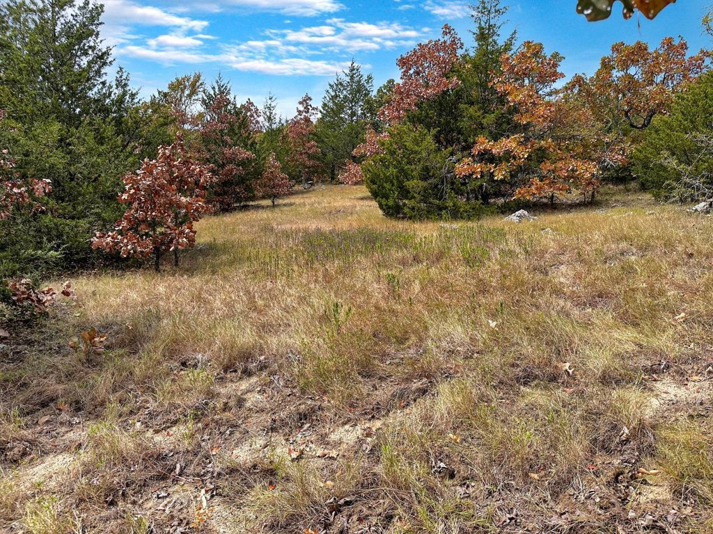 Picture 28