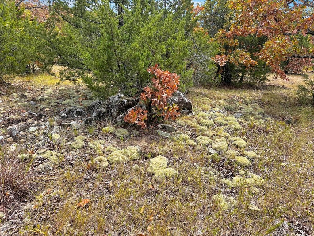 Picture 32