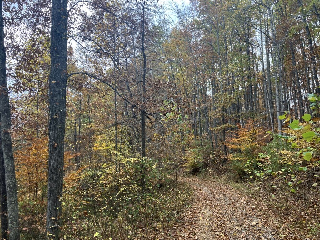 Picture 46
