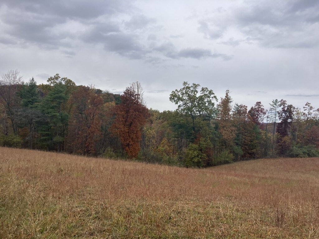 Picture 36