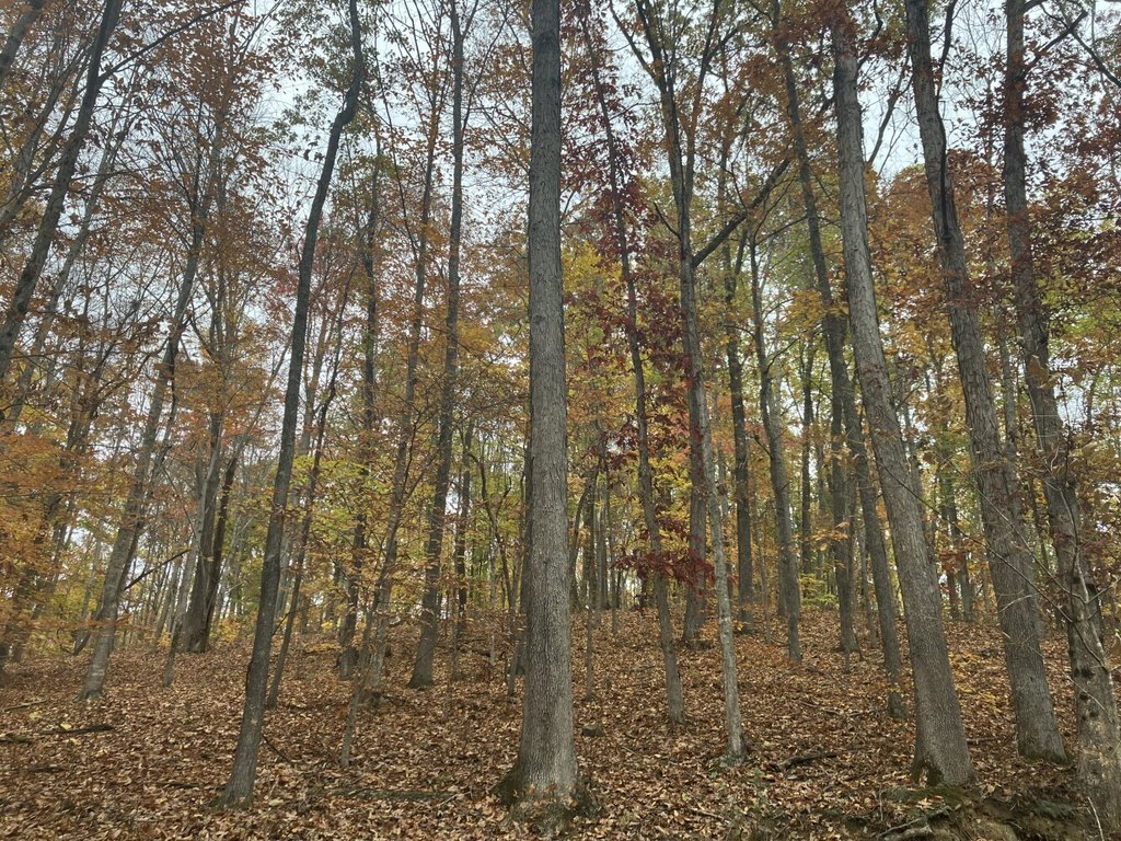 Picture 19
