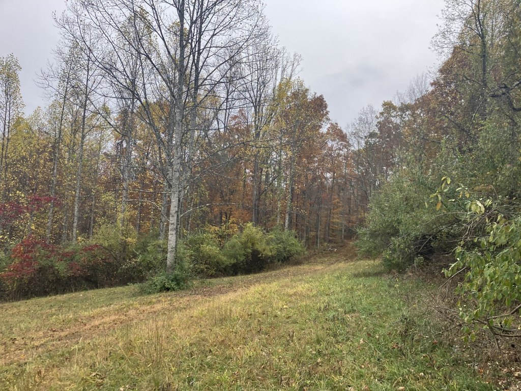 Picture 29