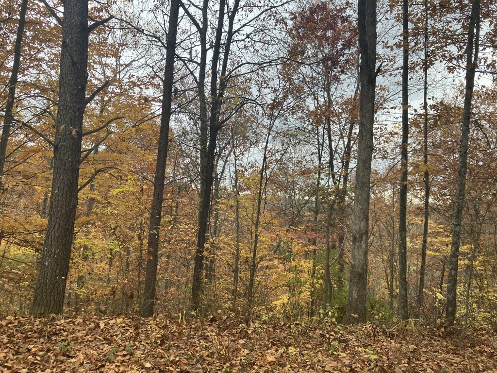 Picture 17