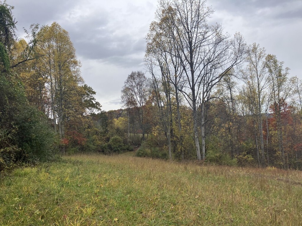 Picture 27
