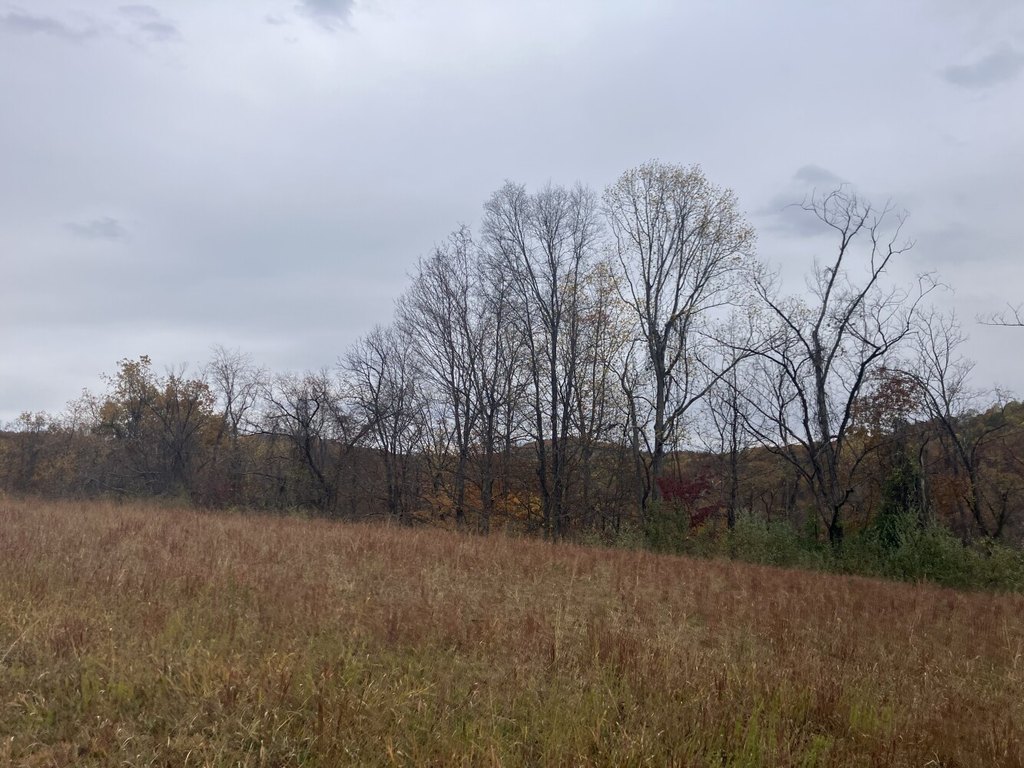 Picture 41