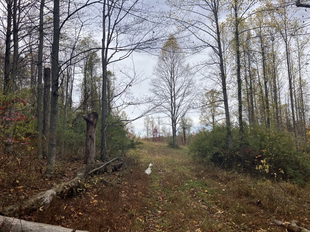Picture 26