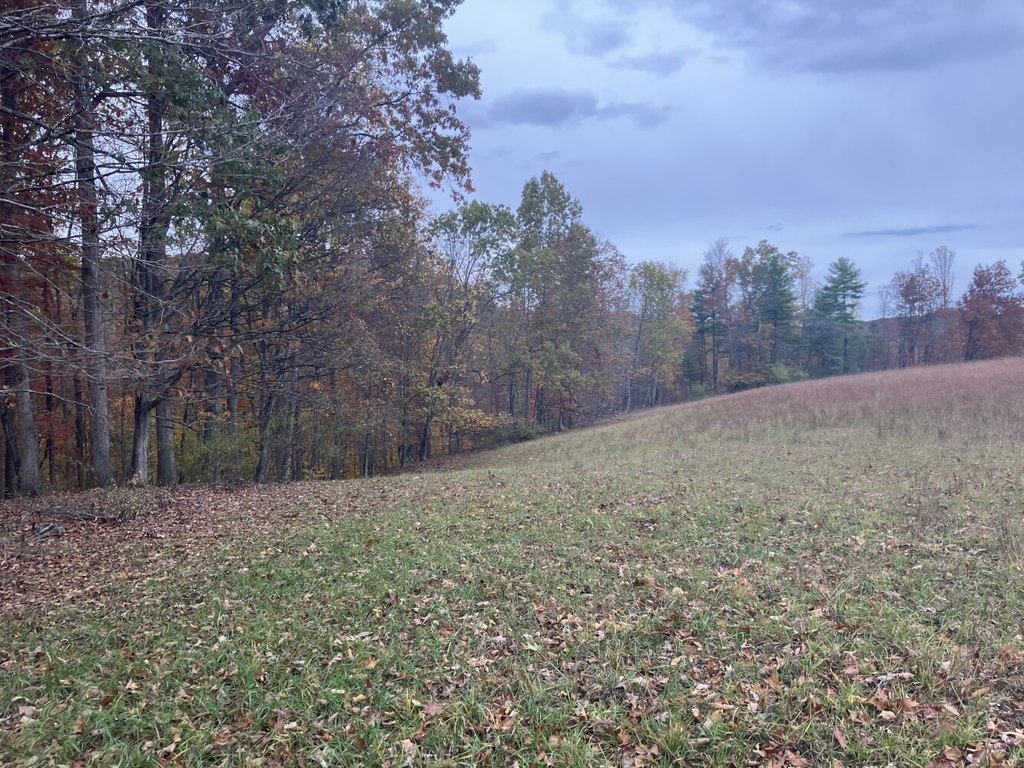 Picture 34