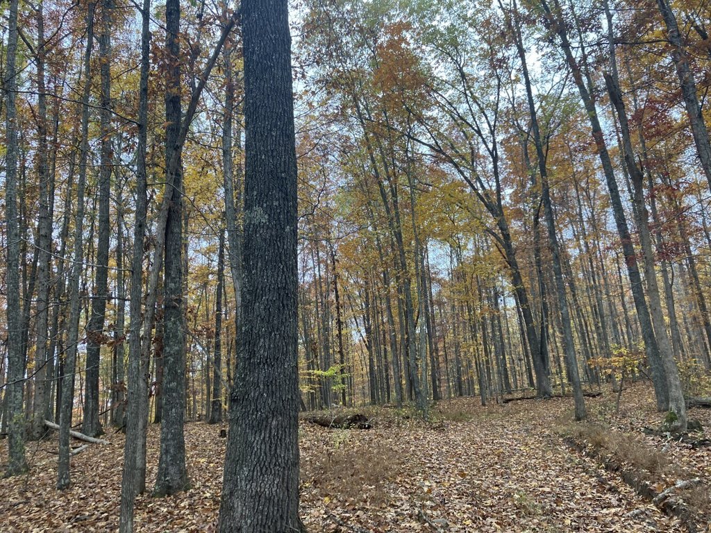 Picture 25