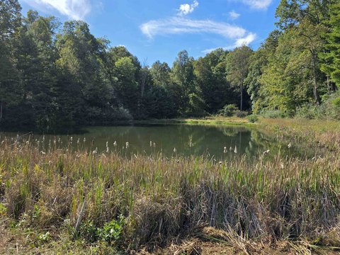 Land, Willis, VA