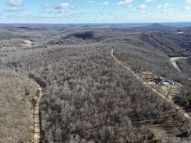 Picture 3